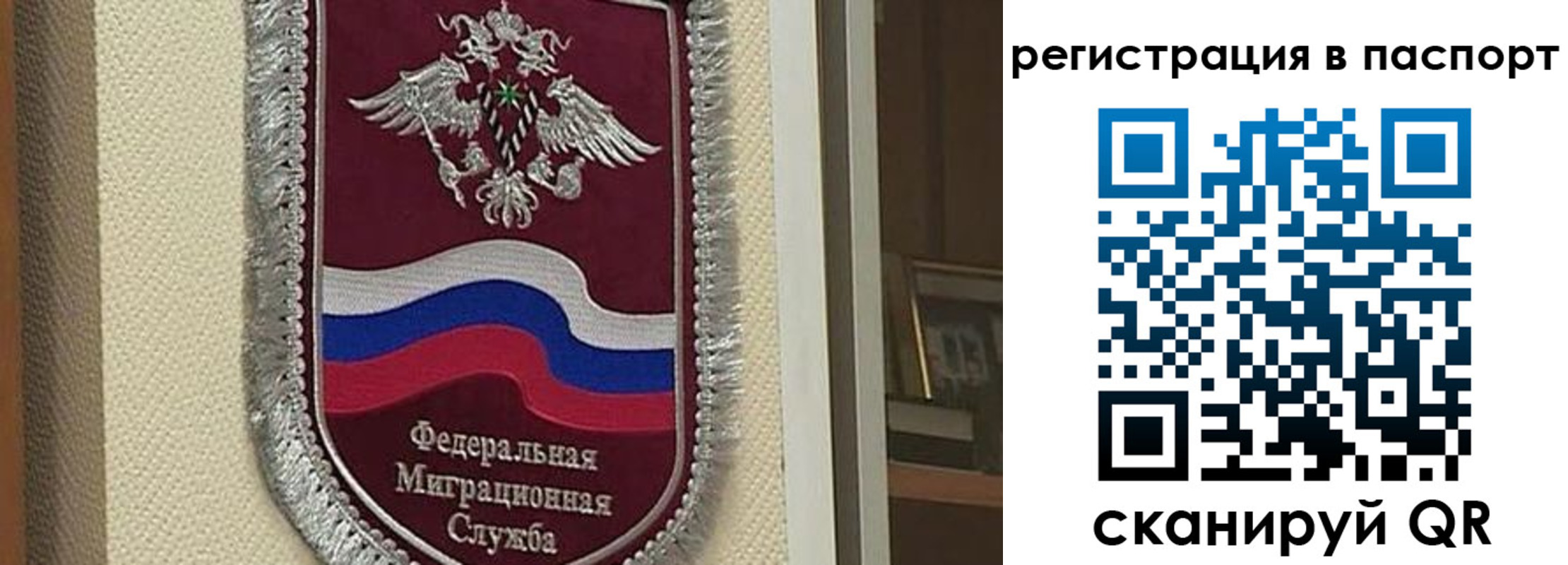 прописка законно в Называевске